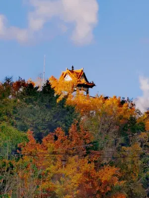 參山處推廣永續旅遊 三業者取得GTS認證