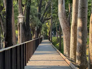 新化小鎮再升級  水綠步道完工開放
