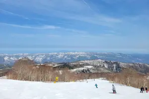 台23歲男大生長野滑雪不慎摔倒　日本警方：送醫急救不治

