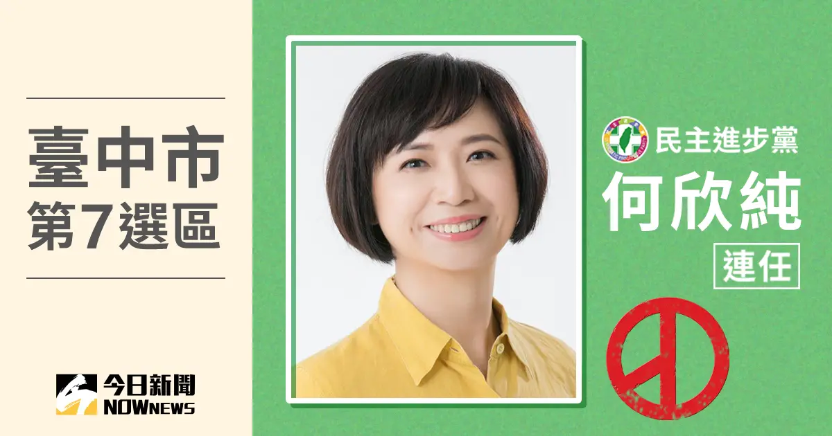 ▲台中市第7選區由民進黨現任立委何欣純當選，擊敗國民黨派出的新生代候選人林家興。（圖／NOWnews社群中心製圖）