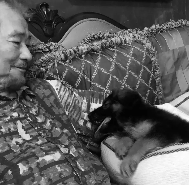 ▲陳文茜透露自己罹癌期間,都是施明德一家陪伴自己就醫。(圖/《文茜的世界周報 Sisy's World News》FB)