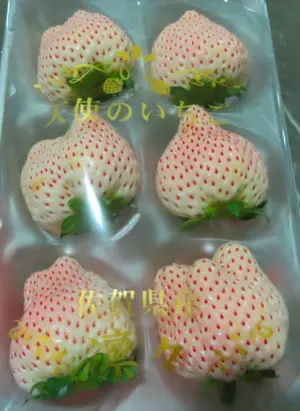 ▲由北海道物產有限公司進口的「鮮草莓(FRESH STRAWBERRY)」檢出農藥殘留含量不符規定。（圖／食藥署）