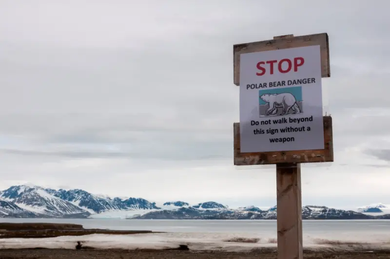 ▲新奧勒松的北極熊警告標示。（圖／美聯社／達志影像）