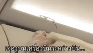 飛機上有蛇！泰國航班驚見蛇在爬　空服員「這一招」影片瘋傳
