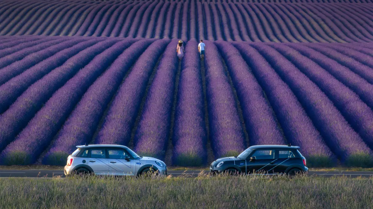 ▲MINI 薰衣草紫色調特仕版 166 萬登場台灣僅15輛