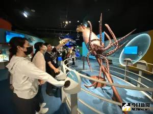 科博館全新「奇幻自然」開幕      哇！巨型魷魚竟然會動
