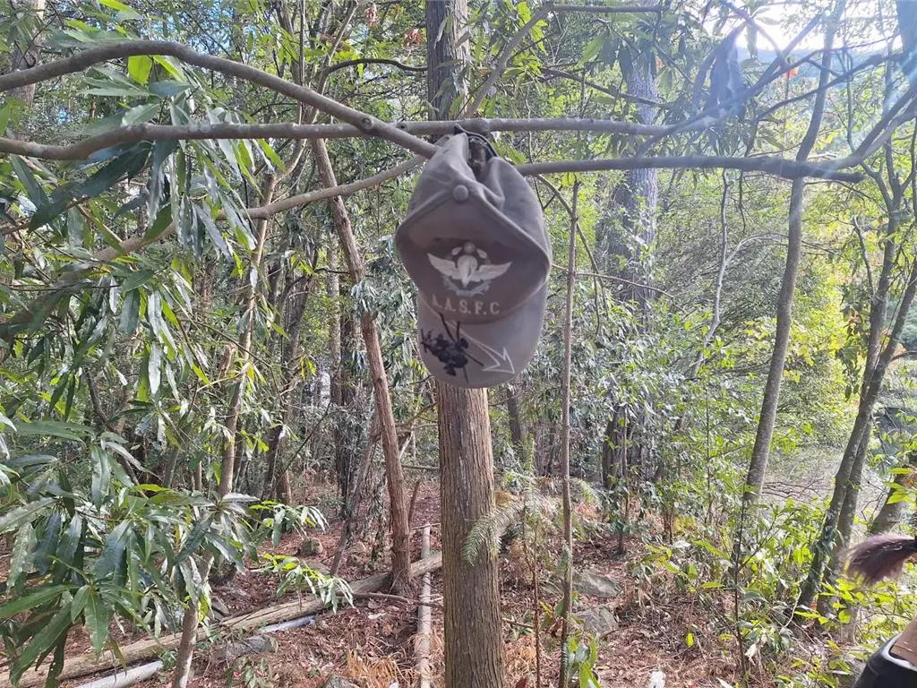 ▲陸軍航空特戰指揮部潘姓士兵馬崙山一帶狩獵後失聯，親友在登山步道進去後約50公尺處樹枝上找到潘男特戰帽子。（圖／翻攝畫面）