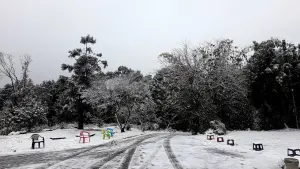 ▲烏來山區的967高地下起雪來變身為銀白世界。（圖 ／新店警分局提供）