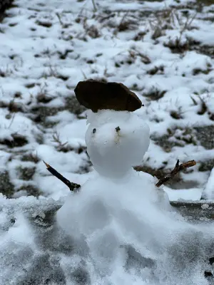 ▲新北市三峽熊空山區下起白雪，現場還堆起雪人來。（圖 ／新北市警察局三峽分局提供）