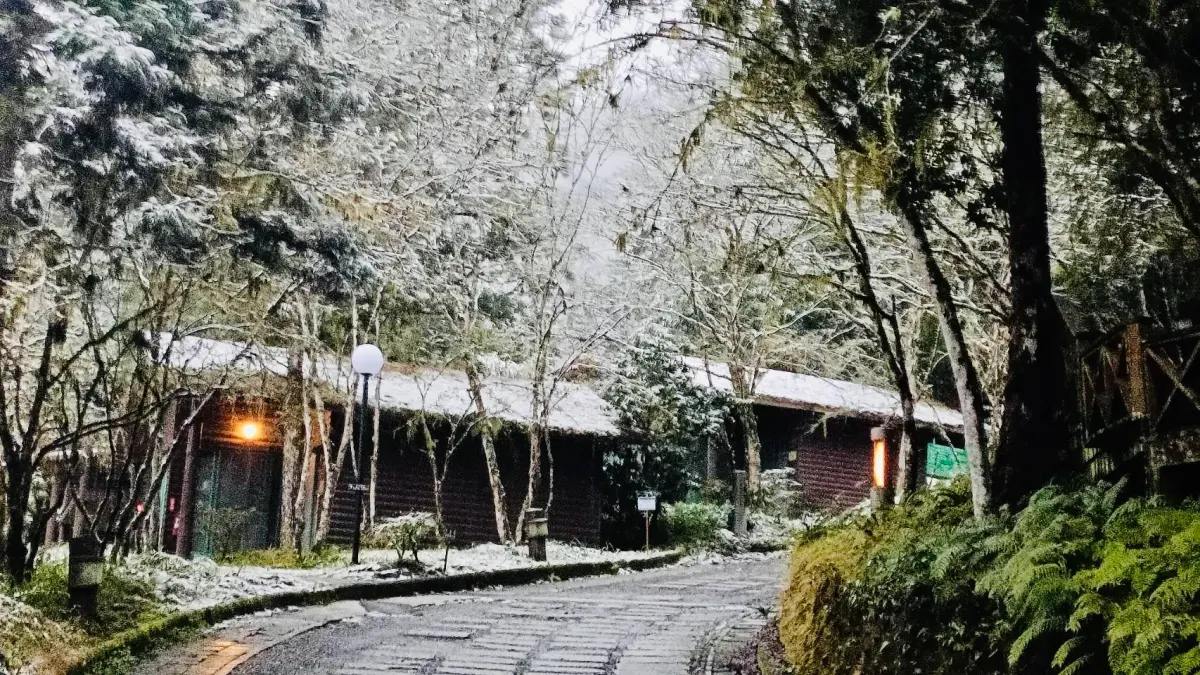 ▲國家公園署提醒別被山下好天氣騙。明池森林遊樂區也降雪了。（圖／力麗觀光提供）