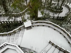 ▲神木園區已積雪3至5公分，把木棧階梯染上雪白色。（圖／力麗觀光提供）