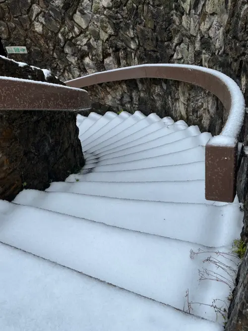 ▲棲蘭神木園積雪3至5公分，雪梯美景曝光。（圖／力麗觀光提供）