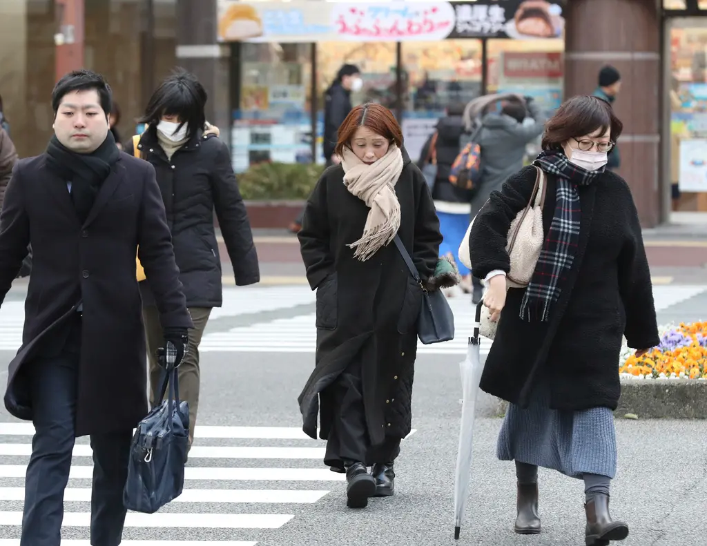 ▲日本受到寒流影響，不僅北海道困在暴風雪內多校宣佈臨時停課，能登半島災區還可能面臨建築物因積雪倒塌。（圖／美聯社／達志影像）