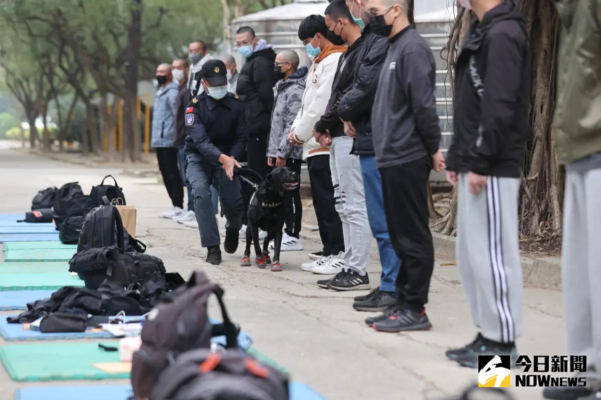 ▲新制義務役正式啟動，南部地區147員新兵到官田新訓中心報到入伍，由憲兵隊緝毒犬先行對入伍新兵進行隨身物品檢查。（圖／記者莊全成攝，2024.01.25）