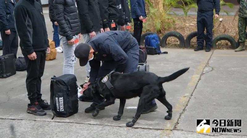 ▲一年義務役男,首梯役男台中成功嶺入伍報到,憲兵緝毒犬對役男行李實施安檢。(圖/記者呂炯昌攝,2024.01.25)