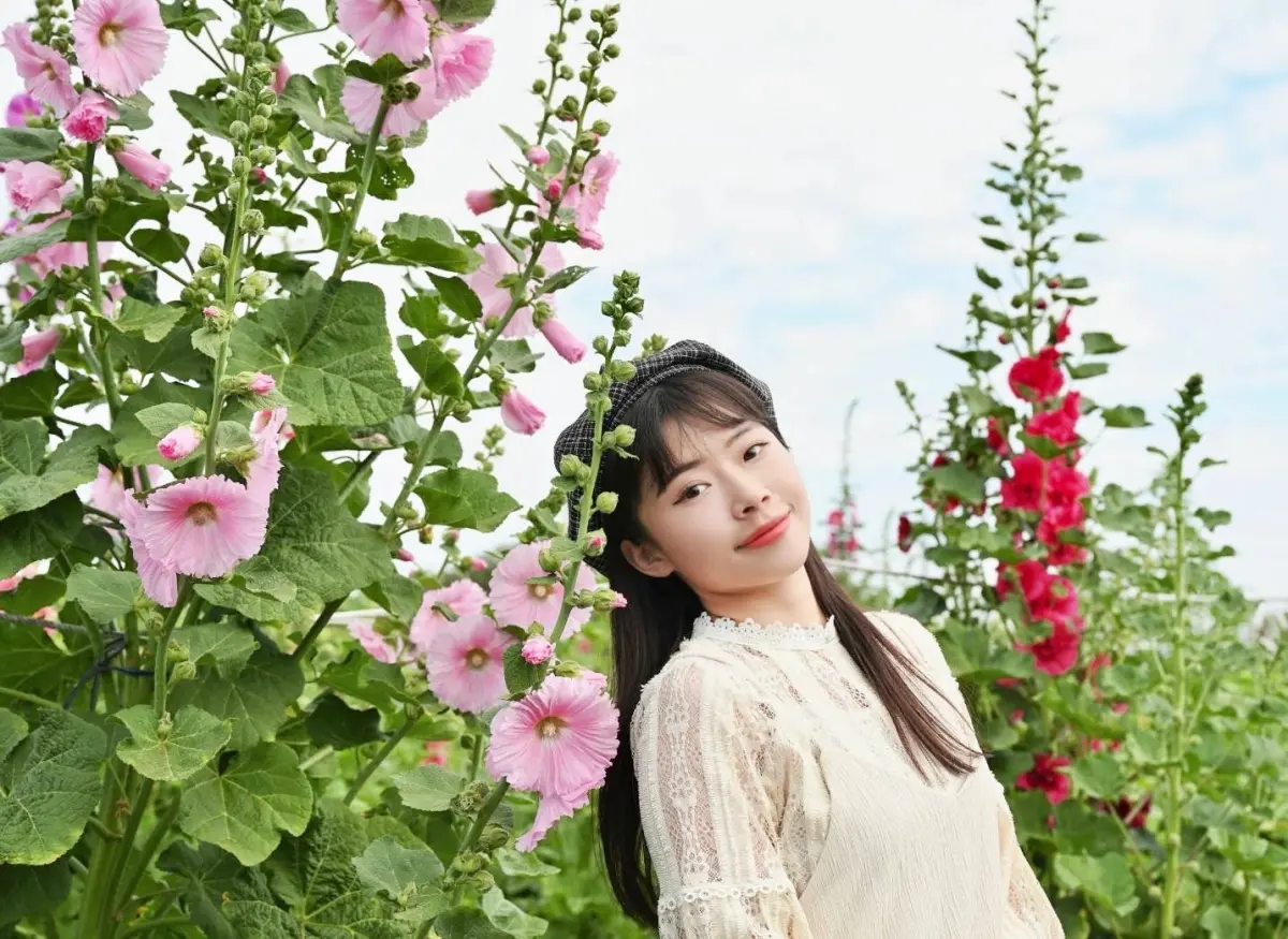 ▲春天到，田中窯萬棵蜀葵花盛開，是網紅拍照熱點。（圖／田中窯提供）