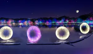 2024台灣燈會在台南!最新超美「新營波光節」 幾米燈籠免費索取