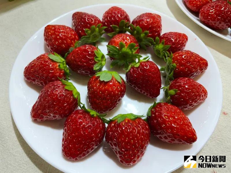 ▲草莓富含營養素，但民眾買回家務必注意清洗，否則可能把農藥吃下肚。（示意圖／記者林志怡攝）