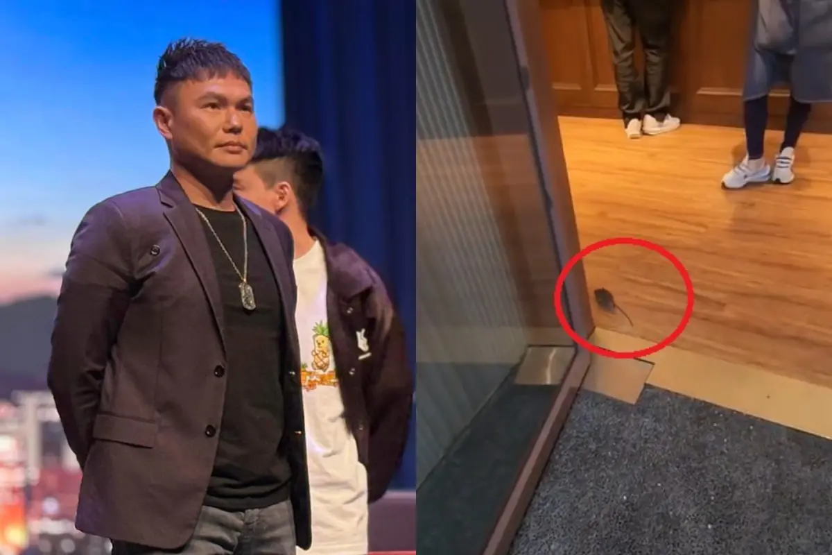 ▲超哥的餐廳才被衛生局稽查完，現在又被拍到老鼠溜進店，民眾見狀笑稱「換主廚了？」（圖／超派人生臉書、PTT）