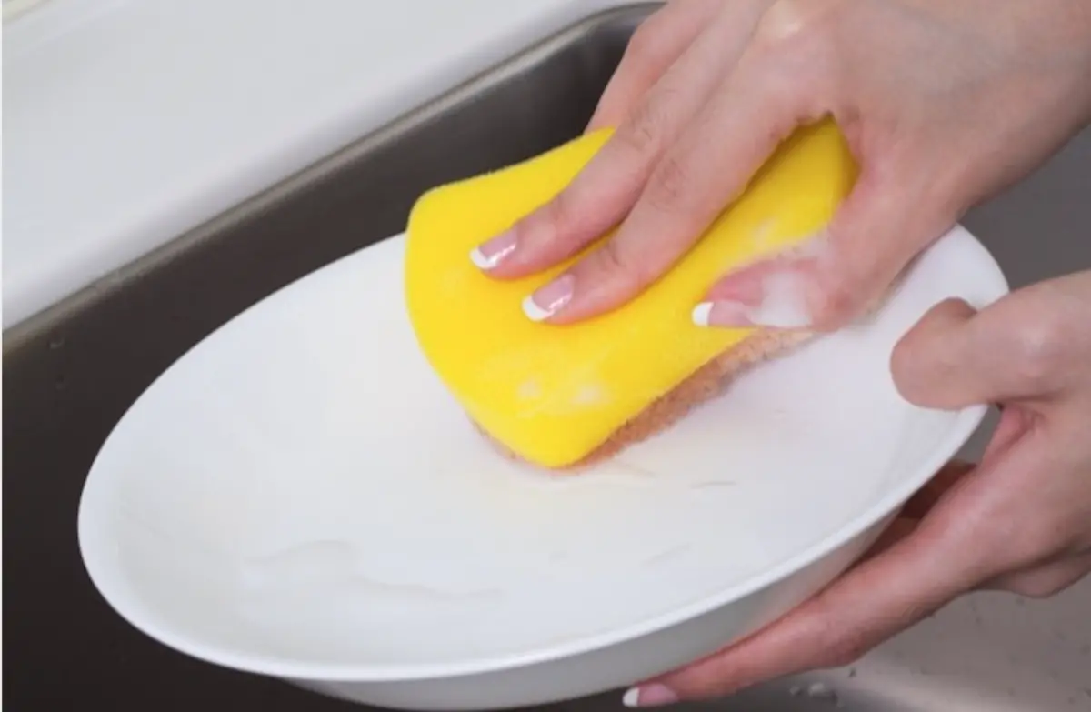 ▲海綿菜瓜布的海棉面主要是用來起泡，且通常使用一個月後就應該要更換。（圖／官方提供）