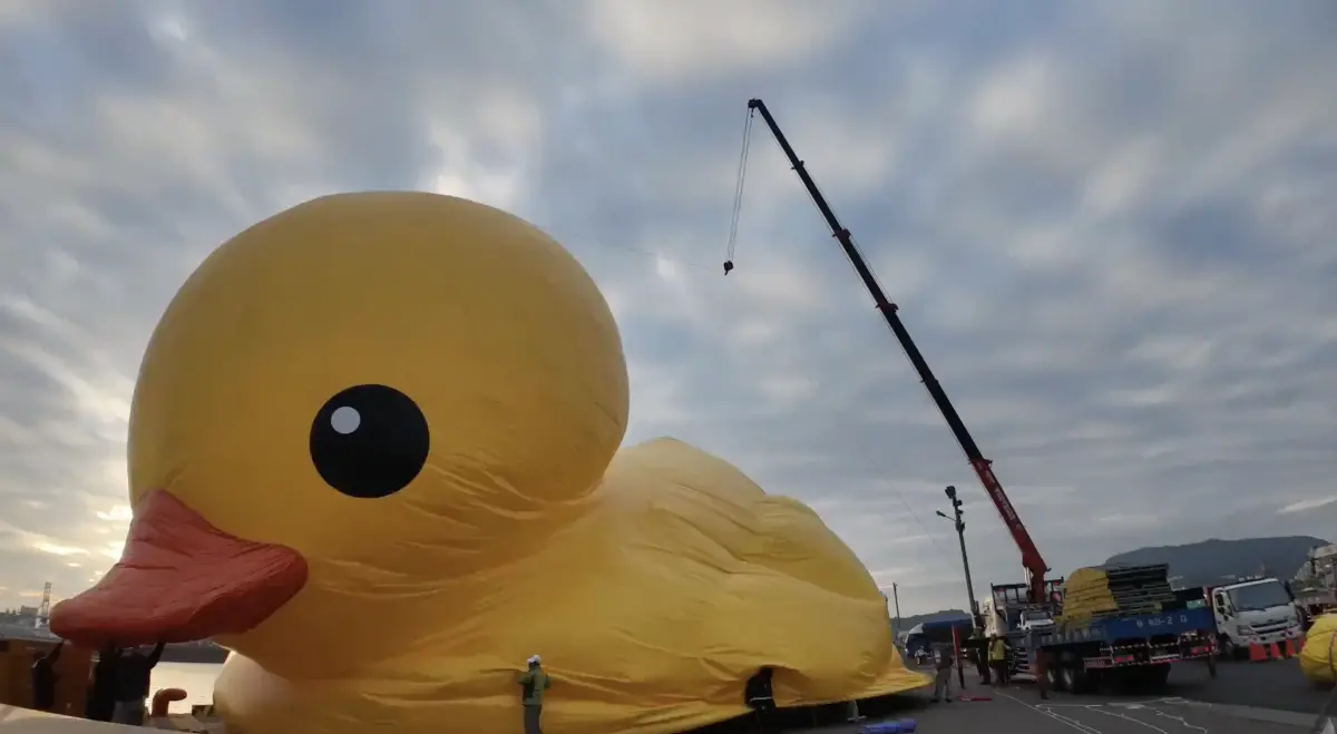 ▲高雄市政府公開1分23秒小鴨的「成長」過程，畫面相當療癒。（圖／翻攝高雄旅遊網）