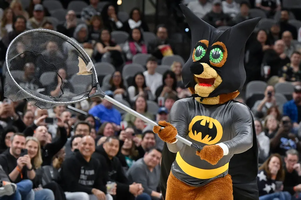 ▲聖安東尼奧馬刺隊的吉祥物小野狼（The Coyote）今（28）日再次被派去執行自己最擅長的任務：捕捉野生蝙蝠。（圖／美聯社／達志影像）