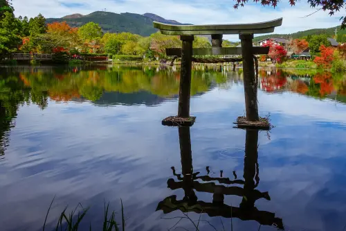 ▲東南旅遊日本團旅也有優惠碼折扣。（圖／東南旅遊提供）