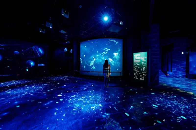 ▲海生館有相當多的沉浸式互動科技，像是「微光漂流」，帶領民眾感受深海中的點點螢光。（圖／海生館提供）