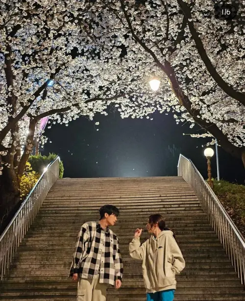 ▲朴信惠在IG加碼分享《低谷醫生》拍攝時，她與朴炯植在櫻花樹下打鬧的浪漫劇照。（圖／朴信惠IG）