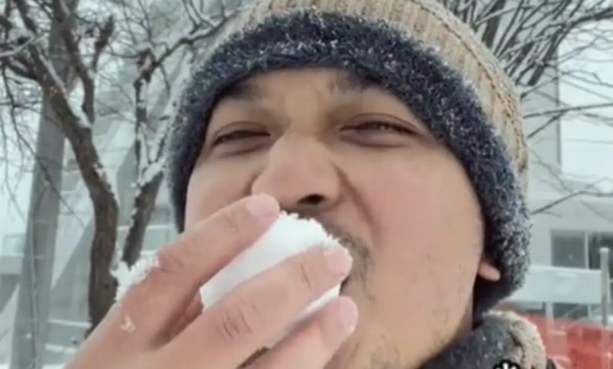 ▲一名馬來西亞男子近期到日本旅遊時「吃雪」，結果整趟旅程都在痛苦中渡過。（圖／翻攝自TikTok）