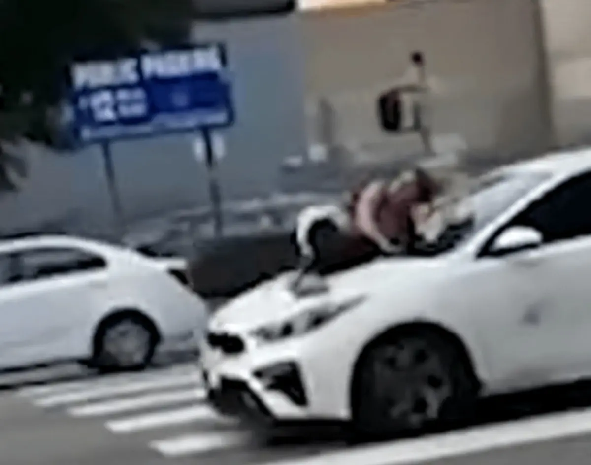 ▲美國洛杉磯街頭近日上演「飛車搶狗」的驚險畫面。（圖／擷取自影片）