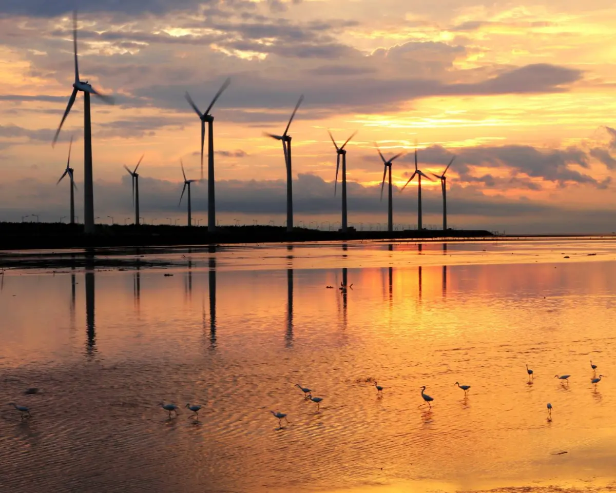 ▲高美濕地(圖／觀旅局提供2024.2.1)