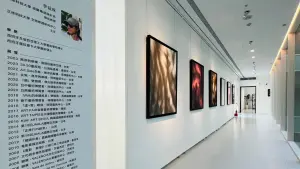 融合藝術與醫療　高禾醫院展出「霧中的詩篇」藝術個展
