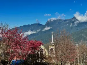 過年走春到參山風景區 體驗戶外風光