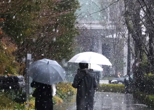 日本天氣注意！冷空氣「下雪熱區」出爐　東京、北海道氣溫狂跌
