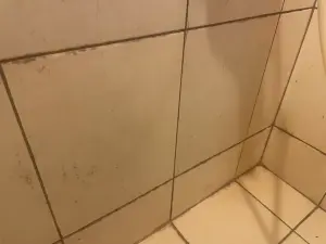 每天開除濕機「浴室仍狂發霉」！整片黑到崩潰　便宜2招換新牆壁
