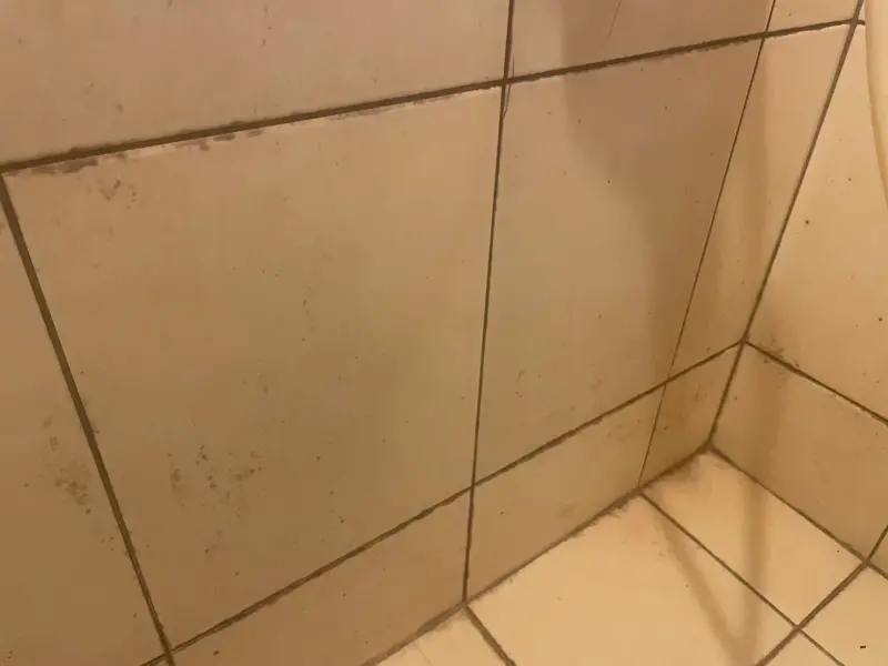 ▲家中浴室的磁磚過一陣子就會出現大量的黴菌，導致牆壁黑黑整片，非常的不美觀。（圖/記者張嘉哲攝）