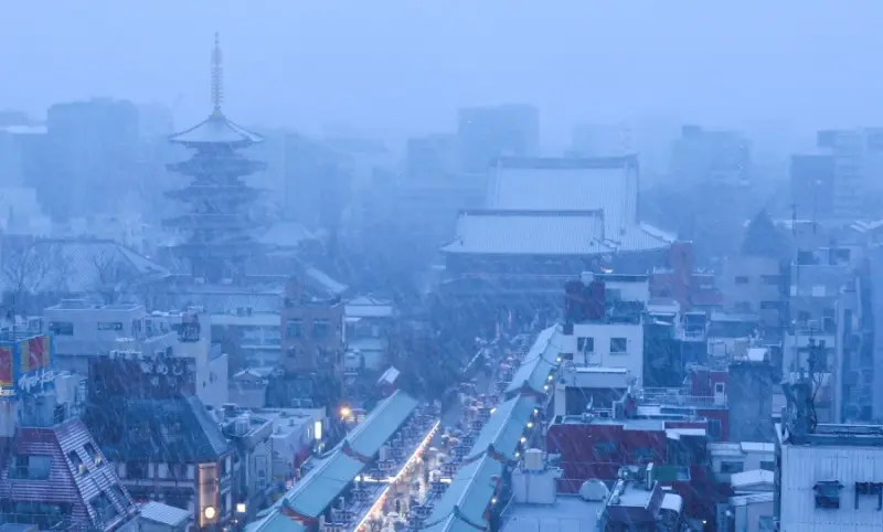 ▲東京淺草5日大雪紛飛的景象。（圖／美聯社／達志影像）