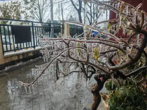 春運遇大雪！暴雪中心在河南、「兩湖」卻傷更重　中國氣象家分析
