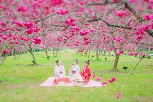 ▲九族櫻花祭能獨家體驗限定的「櫻花下午茶」。（圖／雄獅旅遊提供）