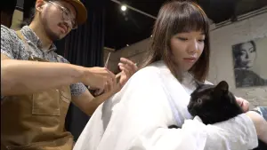 浪浪轉運站1/搶救收容所悲慘毛孩 髮廊搖身變溫馨中途