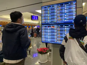 過年出國行李!酒精「1條件」可帶上飛機 行動電源出國規定整理