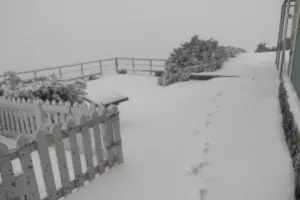 影/玉山-1.8度下雪了!強烈冷氣團小年夜發威 積雪5公分美景曝