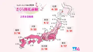 ▲Weather map 2024年櫻花開花預測。（圖／翻攝自Weather map）