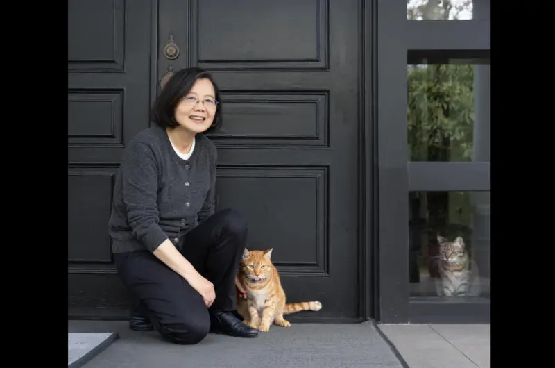 ▲蔡英文分享與毛小孩照片,引起網友關注。(圖/蔡英文threads)