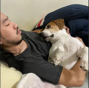 中途髮廊「毛髦」Kevin與中途的浪浪「咪嚕」。「咪嚕」是從動物收容所救援回來中途的毛孩,相當親人。(圖/中途髮廊毛髦提供) ▲中途髮廊「毛髦」Kevin與中途的浪浪「咪嚕」。「咪嚕」是從動物收容所救援回來中途的毛孩,相當親人。(圖/中途髮廊毛髦提供)