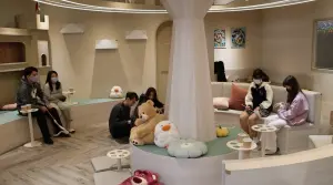 「NUKU NUKU Cat Cafe」店裡設施依貓咪生活習性設計,貓跳台和貓咪休息空間宛如夢幻城堡樂園。(圖/記者葉志明攝) ▲「NUKU NUKU Cat Cafe」店裡設施依貓咪生活習性設計,貓跳台和貓咪休息空間宛如夢幻城堡樂園。(圖/記者葉志明攝)