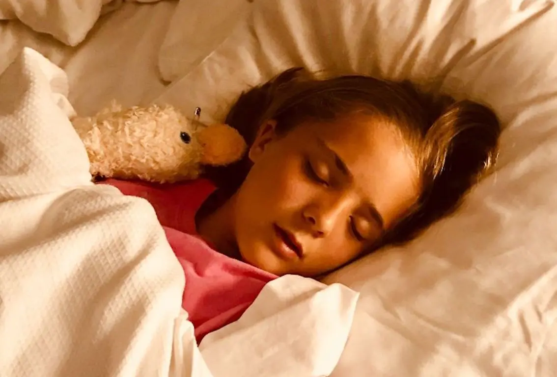 ▲今天是農曆大年初三，俗稱的「赤狗日」、「小年朝」，除了要睡到飽之外，還有些民俗禁忌。（圖／取自Pexels）