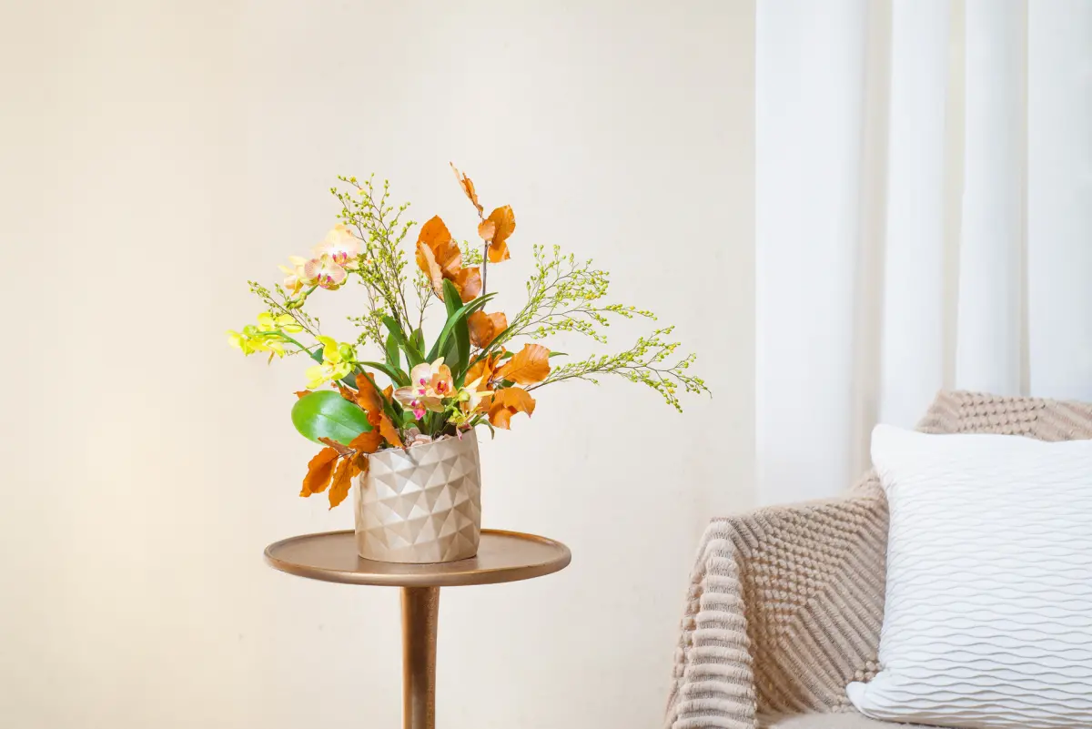 ▲2024龍年大年初四迎財神，招財位也要除舊佈新，選對開運「4植物」財源滾滾還旺貴人；慎「3禁忌」恐毀財運人緣，一篇整理招財植栽好選擇。　（圖／有肉SUCCULAND提供）