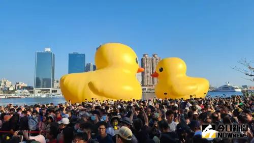 黃色小鴨自1月27日開展以來，成功吸引740萬人次。（圖／記者陳美嘉攝）